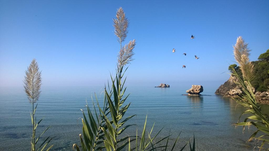 Yaliskari Beach 佩雷卡斯 外观 照片